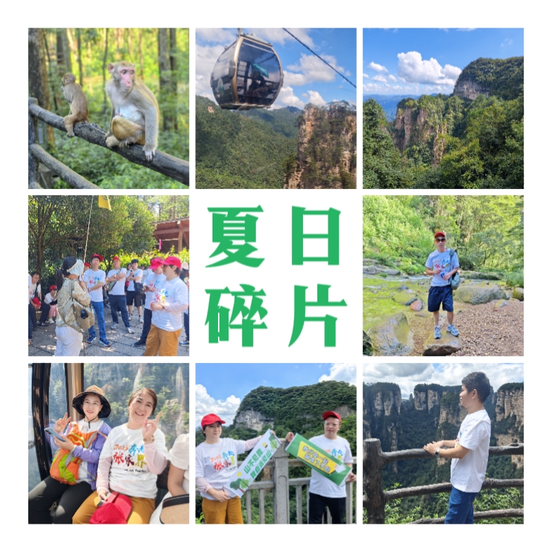 夏日碎片.jpg