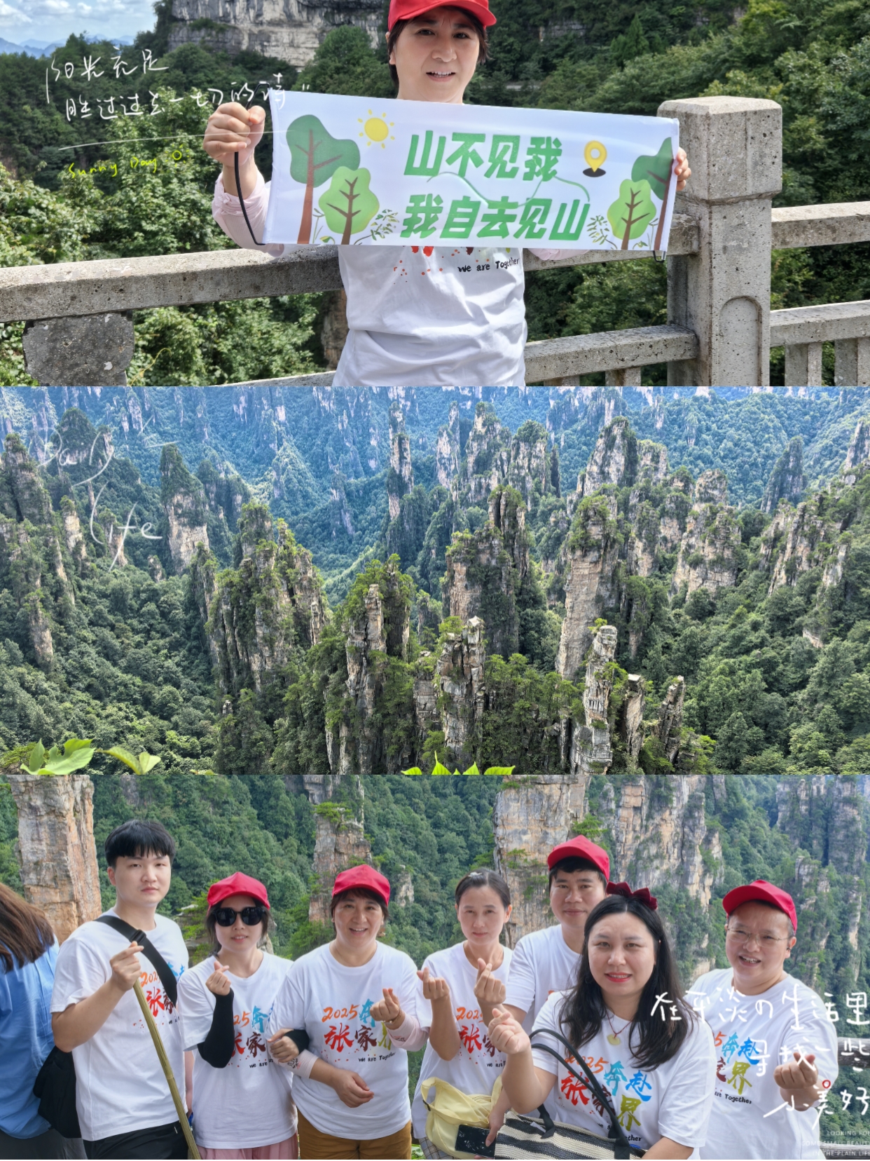 山不见我，我自去见山.jpg
